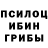 Псилоцибиновые грибы Magic Shrooms Kieran Peters