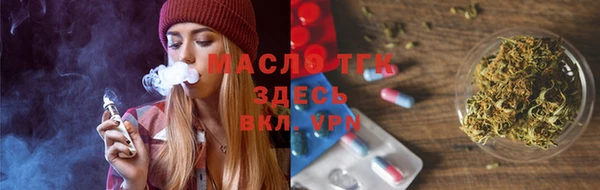 стафф Ельня